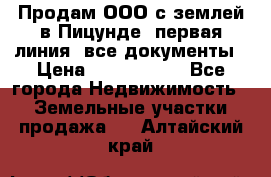 Продам ООО с землей в Пицунде, первая линия, все документы › Цена ­ 9 000 000 - Все города Недвижимость » Земельные участки продажа   . Алтайский край